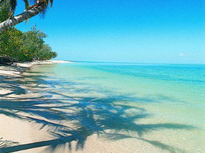 Bedarra Island Hotel Great Barrier Reef Buitenkant foto